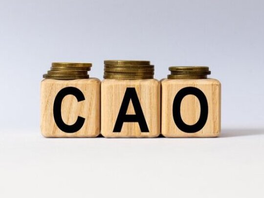 Cao-vraag van de maand: hoe zit het met verlof?