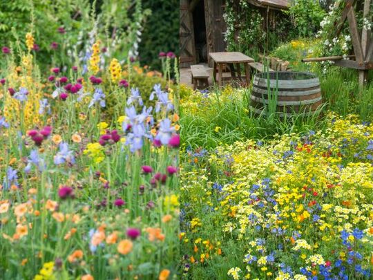 Tuintrends 2026: zo wil iedereen straks naar buiten