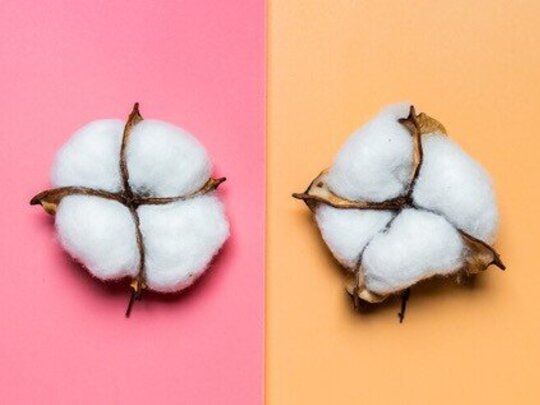 Oog voor eerlijke mode: Wat het nieuwe textielverbond betekent