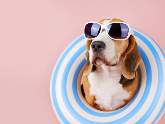 Meer vakantiedagen dan je nu hebt? In april kun je vakantiedagen kopen